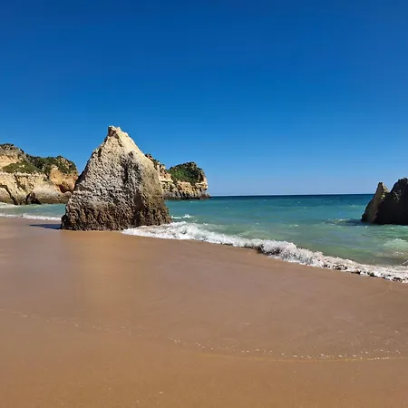 Apartamento Ensoleillé Balcon Et Piscine, Proche Plages